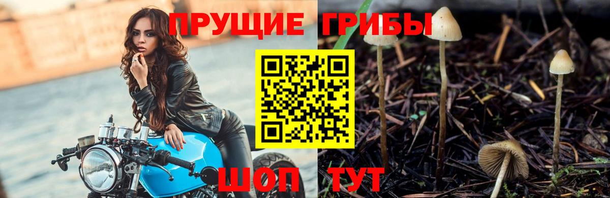 Псилоцибиновые грибы Magic Shrooms Россошь