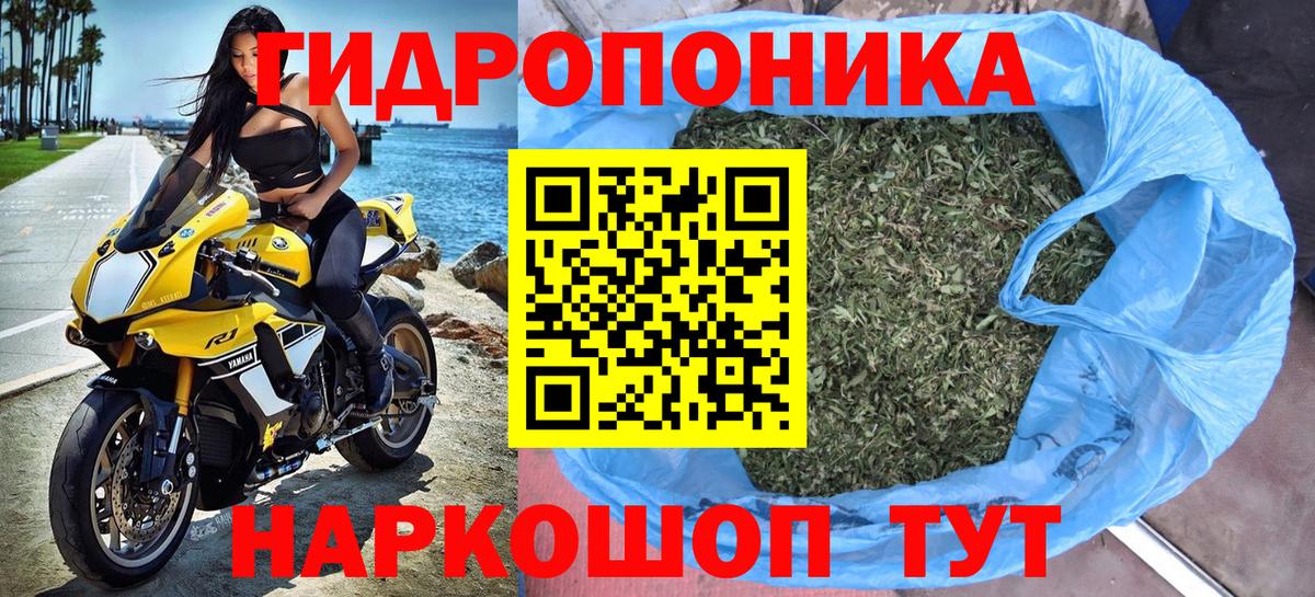Конопля ГИДРОПОН Россошь